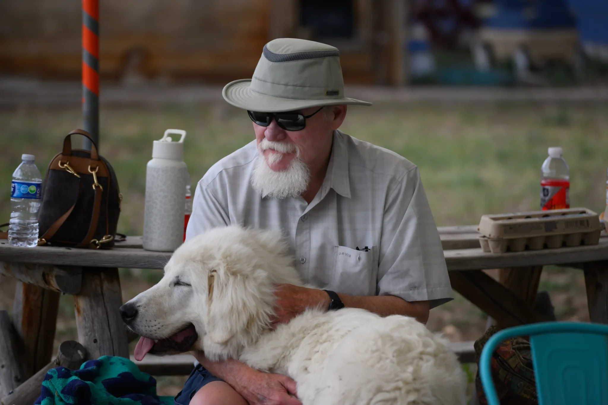 A volunteer enjoying time with a fluffy dog, embodying the support and compassion foster families receive.